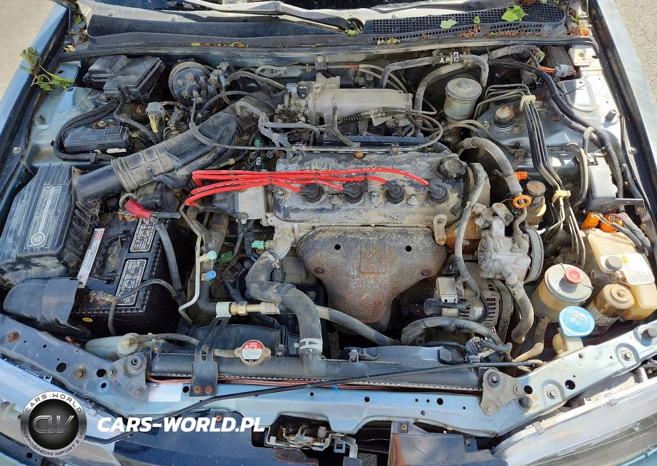 1994 Honda Accord Ex VIN:JHMCD5652RC081000 - 11