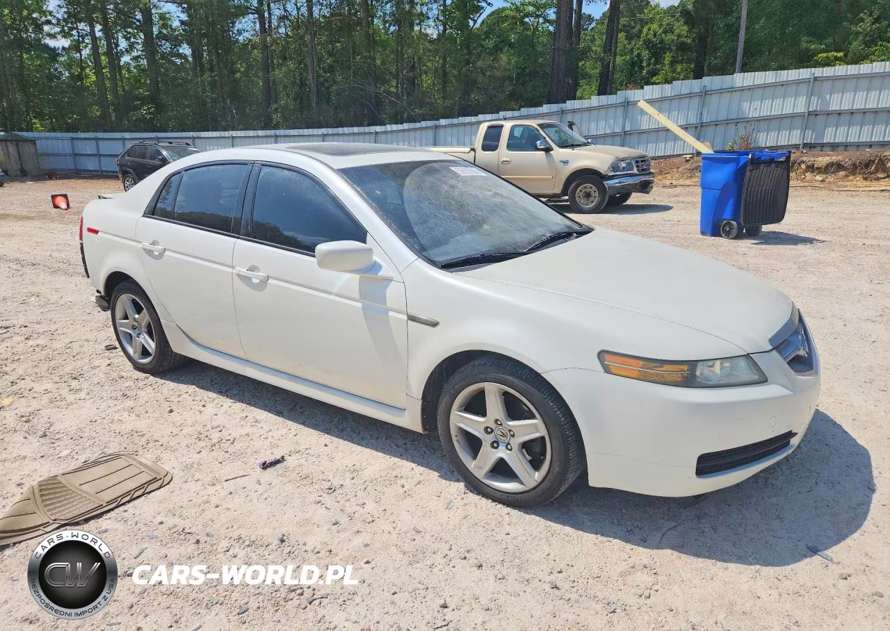 2004 Acura Tl VIN:19UUA66254A048069 - 4