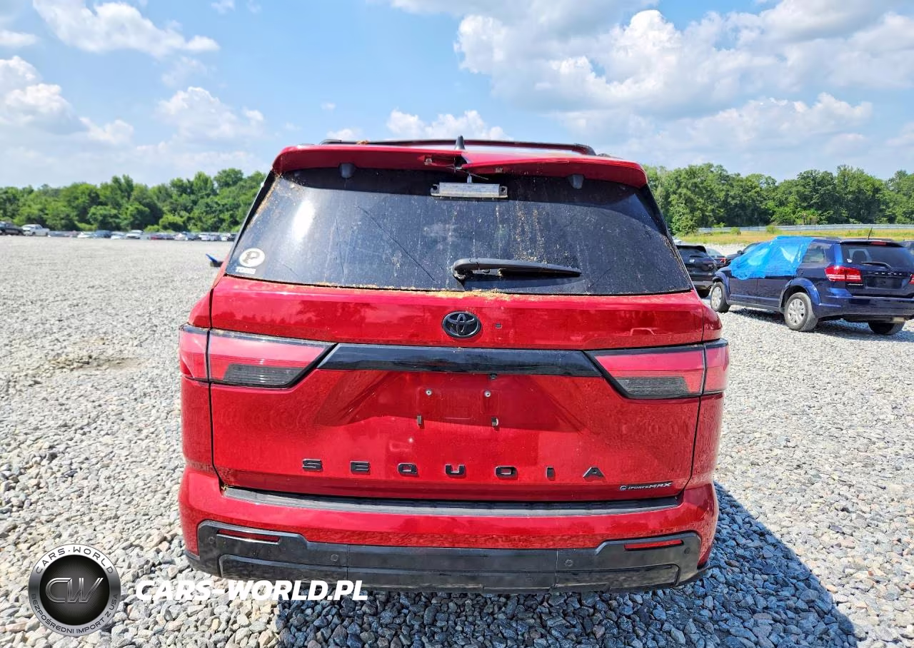 2025 Toyota Sequoia Platinum VIN:7SVAAABA7SX064503 - 6
