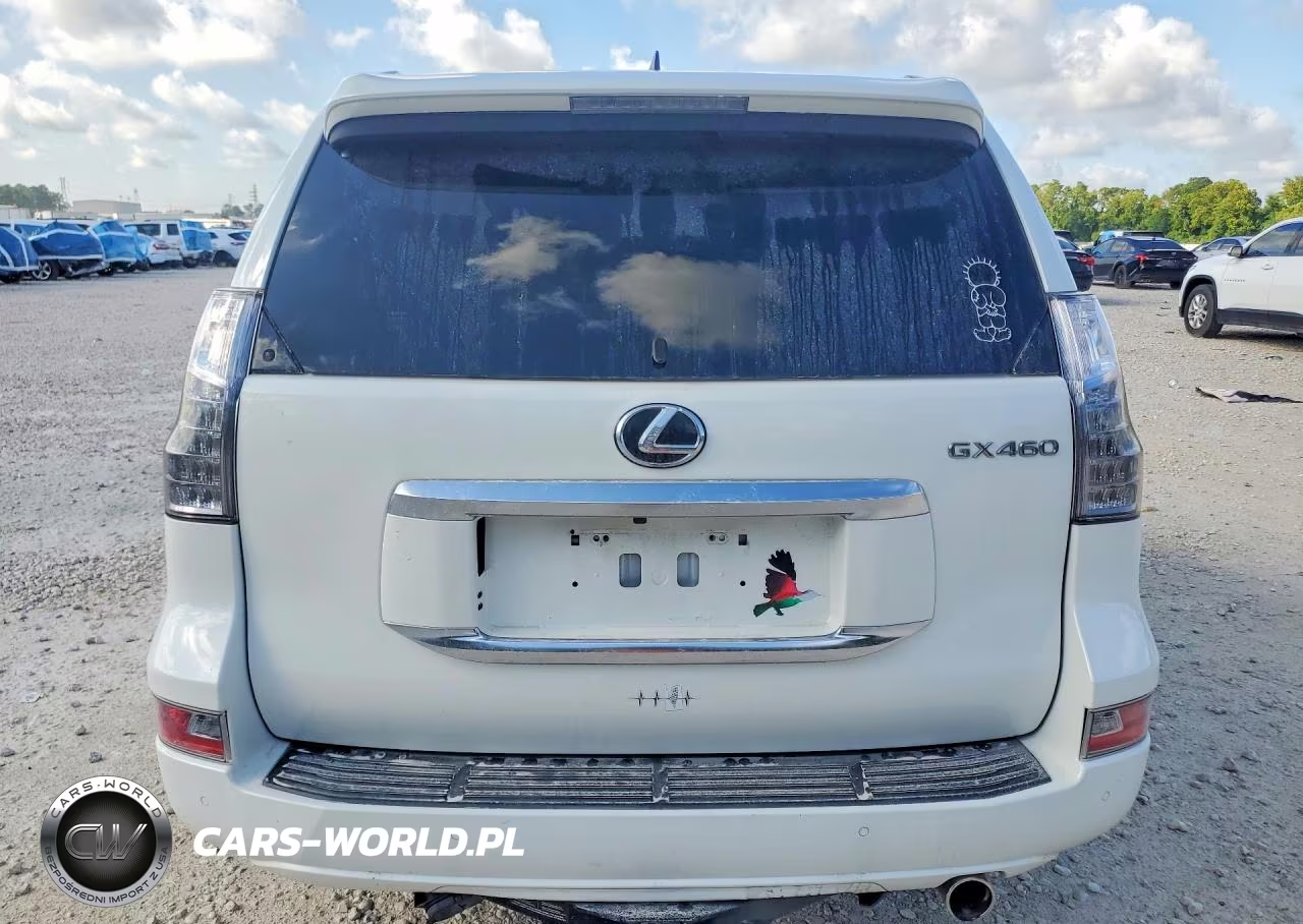 2020 Lexus Gx 460 Premium VIN:JTJAM7BX1L5258091 - 6