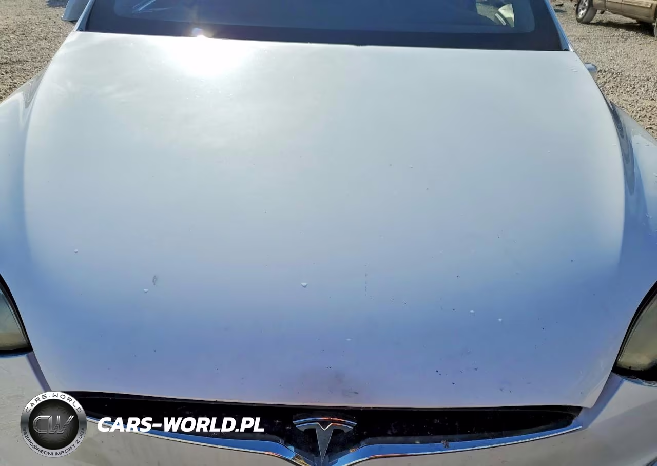 2016 Tesla Model X VIN:5YJXCBE48GFS00908 - 11