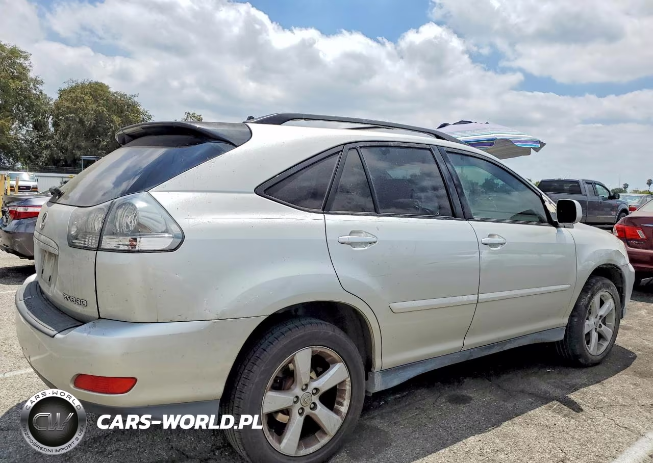 2004 Lexus Rx 330 VIN:JTJGA31U640026958 - 3