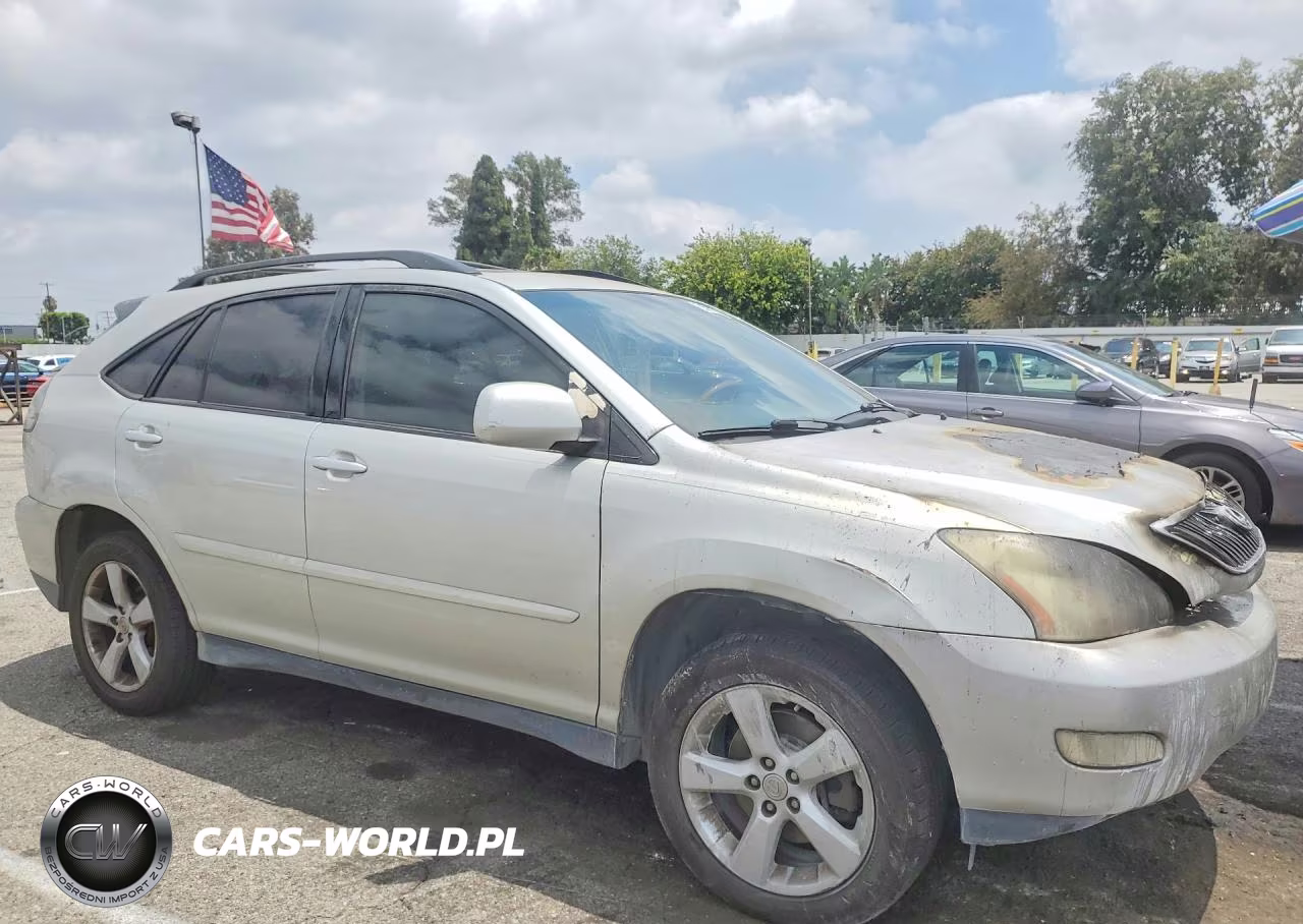 2004 Lexus Rx 330 VIN:JTJGA31U640026958 - 4