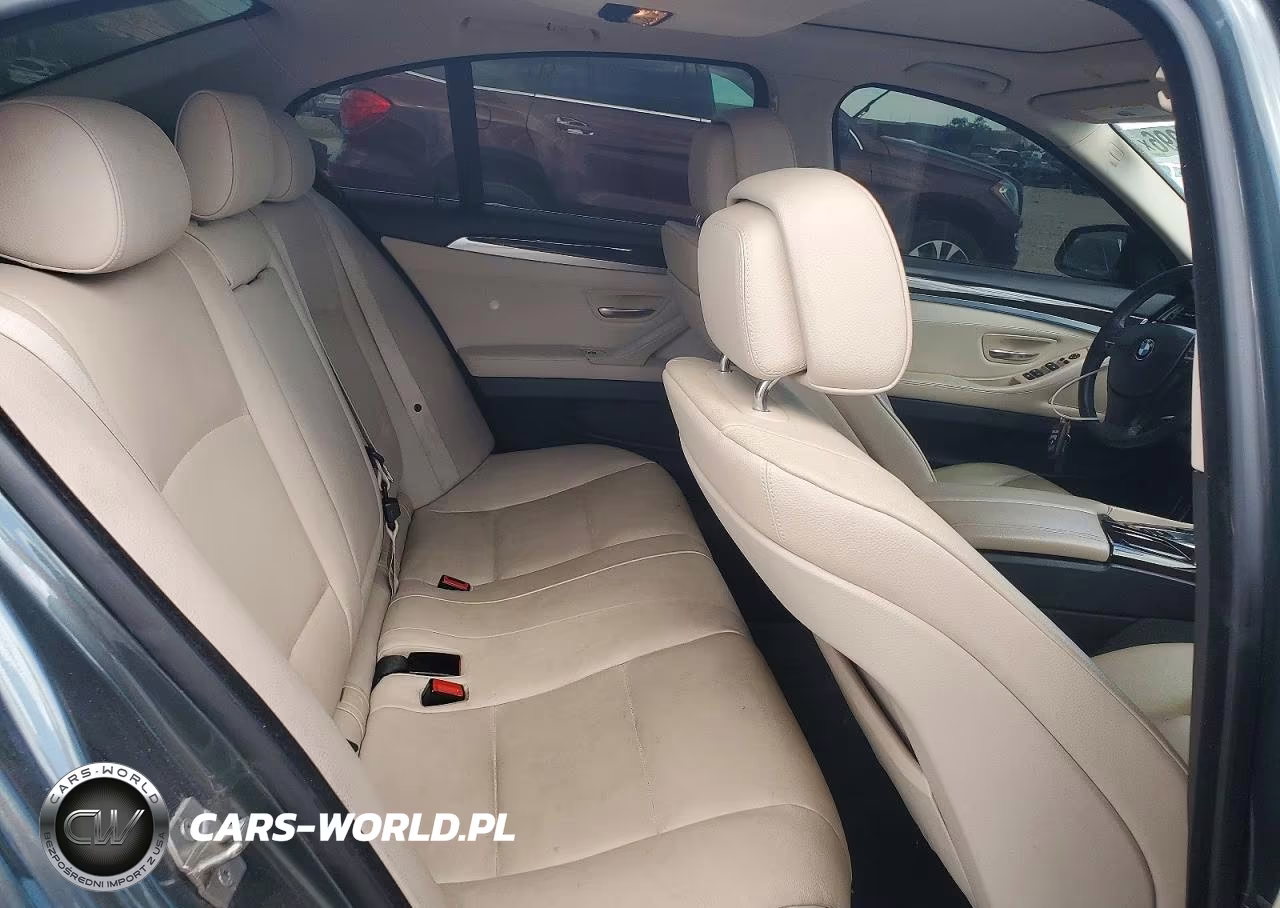 2013 BMW 528 Xi VIN:WBAXH5C52DDW13423 - 10