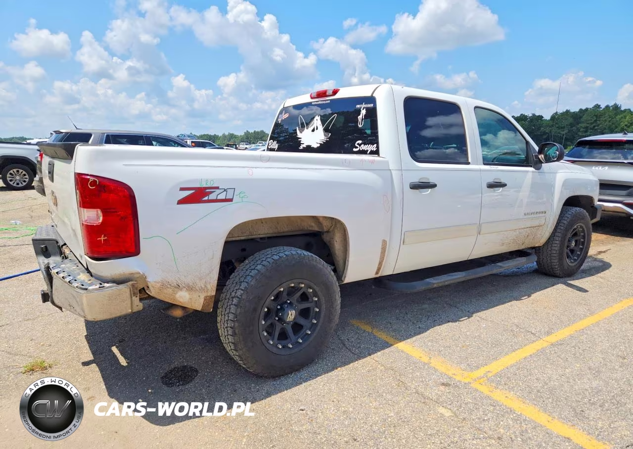 2010 Chevrolet Silverado C1500 Lt VIN:3GCRCSE05AG221934 - 3