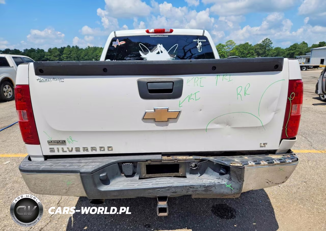 2010 Chevrolet Silverado C1500 Lt VIN:3GCRCSE05AG221934 - 6
