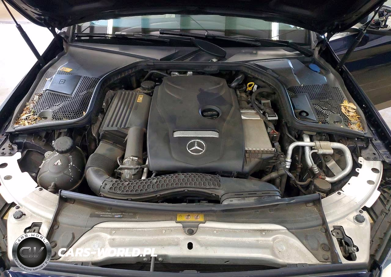 2016 Mercedes-Benz C 300 4Matic VIN:55SWF4KB4GU119291 - 11