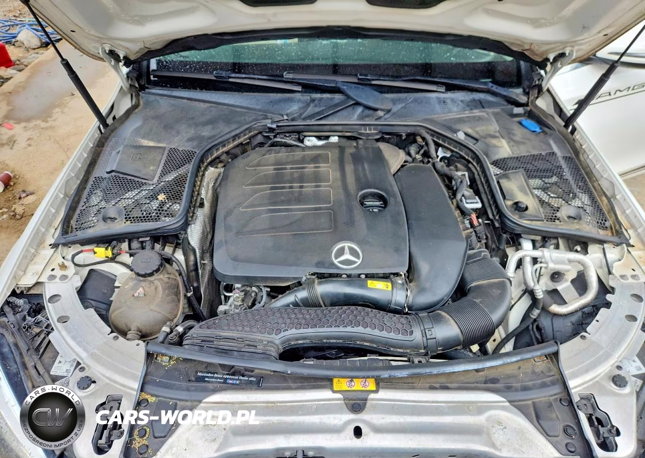 2019 Mercedes-Benz C 300 VIN:55SWF8DB1KU308333 - 11