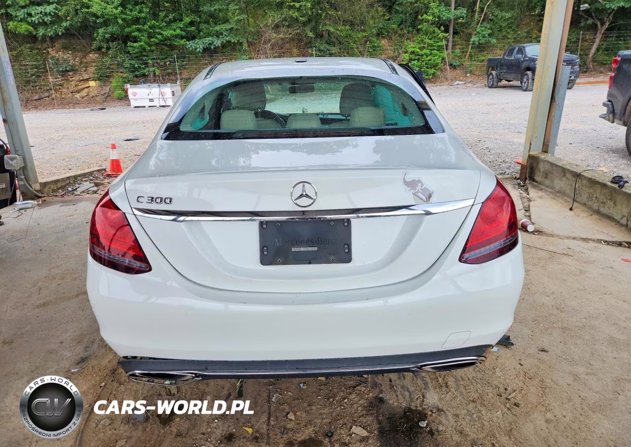 2019 Mercedes-Benz C 300 VIN:55SWF8DB1KU308333 - 6