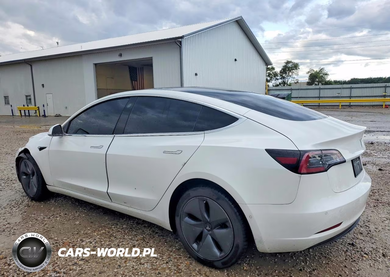 2019 Tesla Model 3 VIN:5YJ3E1EAXKF482955 - 2