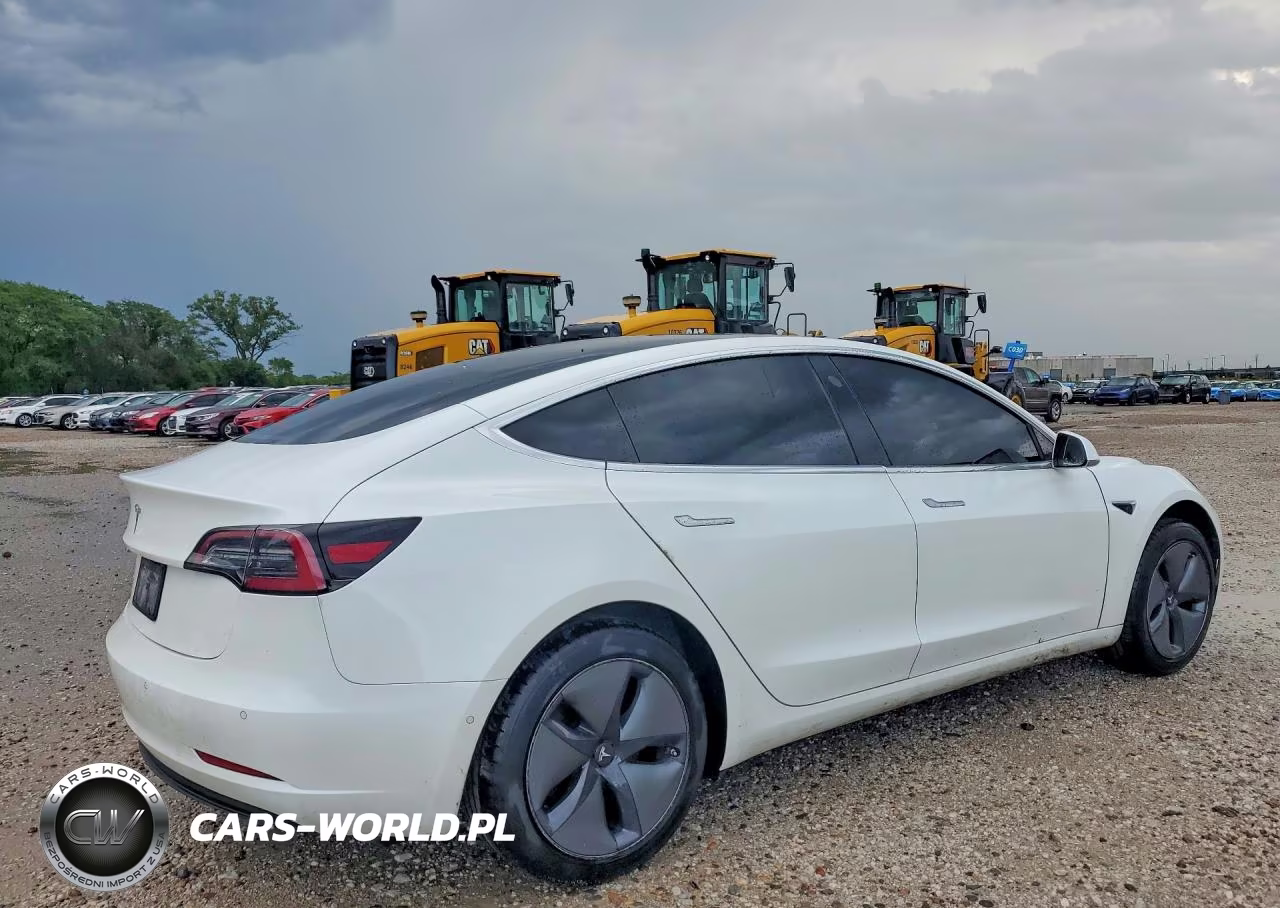 2019 Tesla Model 3 VIN:5YJ3E1EAXKF482955 - 3