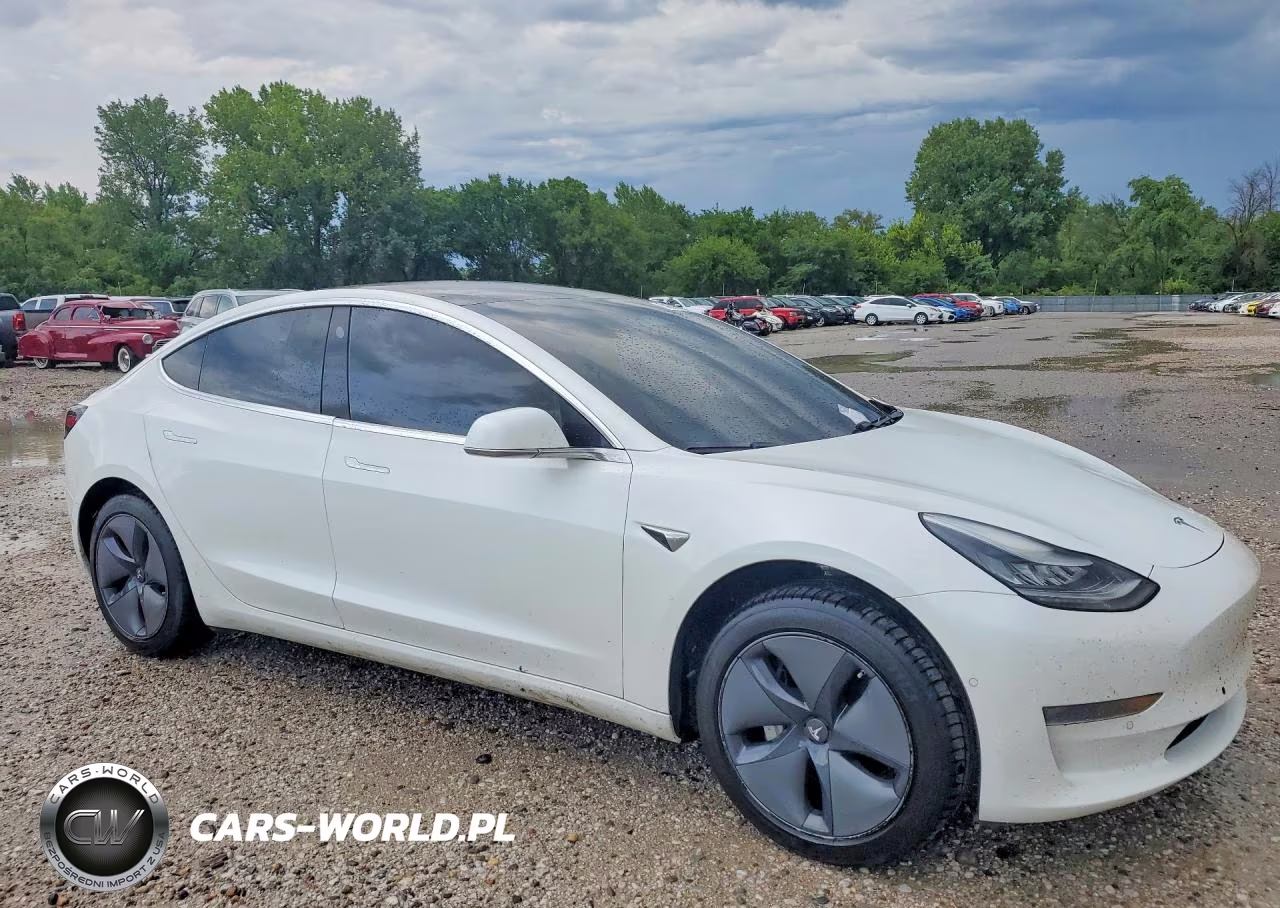2019 Tesla Model 3 VIN:5YJ3E1EAXKF482955 - 4