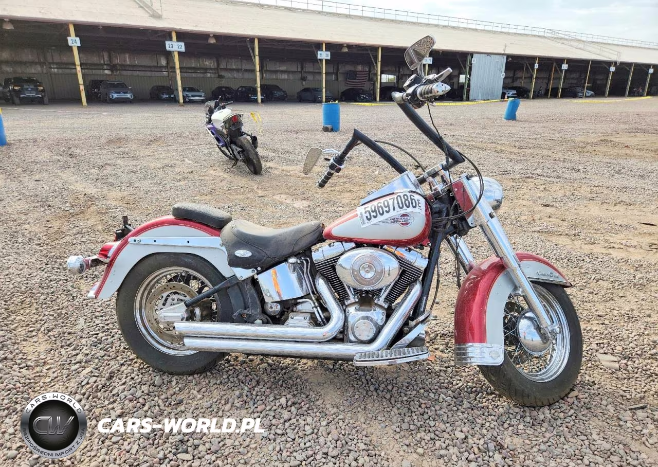 2004 Harley-Davidson Flstci