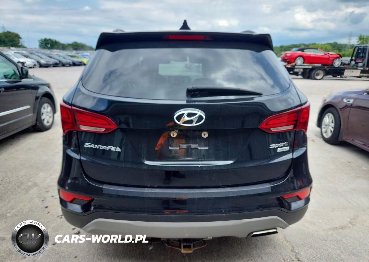 2018 Hyundai Santa Fe Sport 2.4L VIN:5XYZUDLBXJG554223 - 6