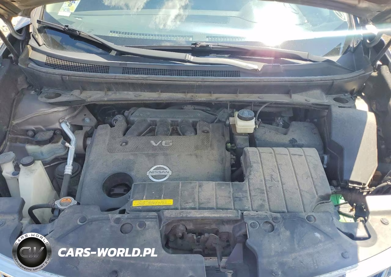 2011 Nissan Murano Crosscabriolet VIN:JN8AZ1FY8BW001589 - 11