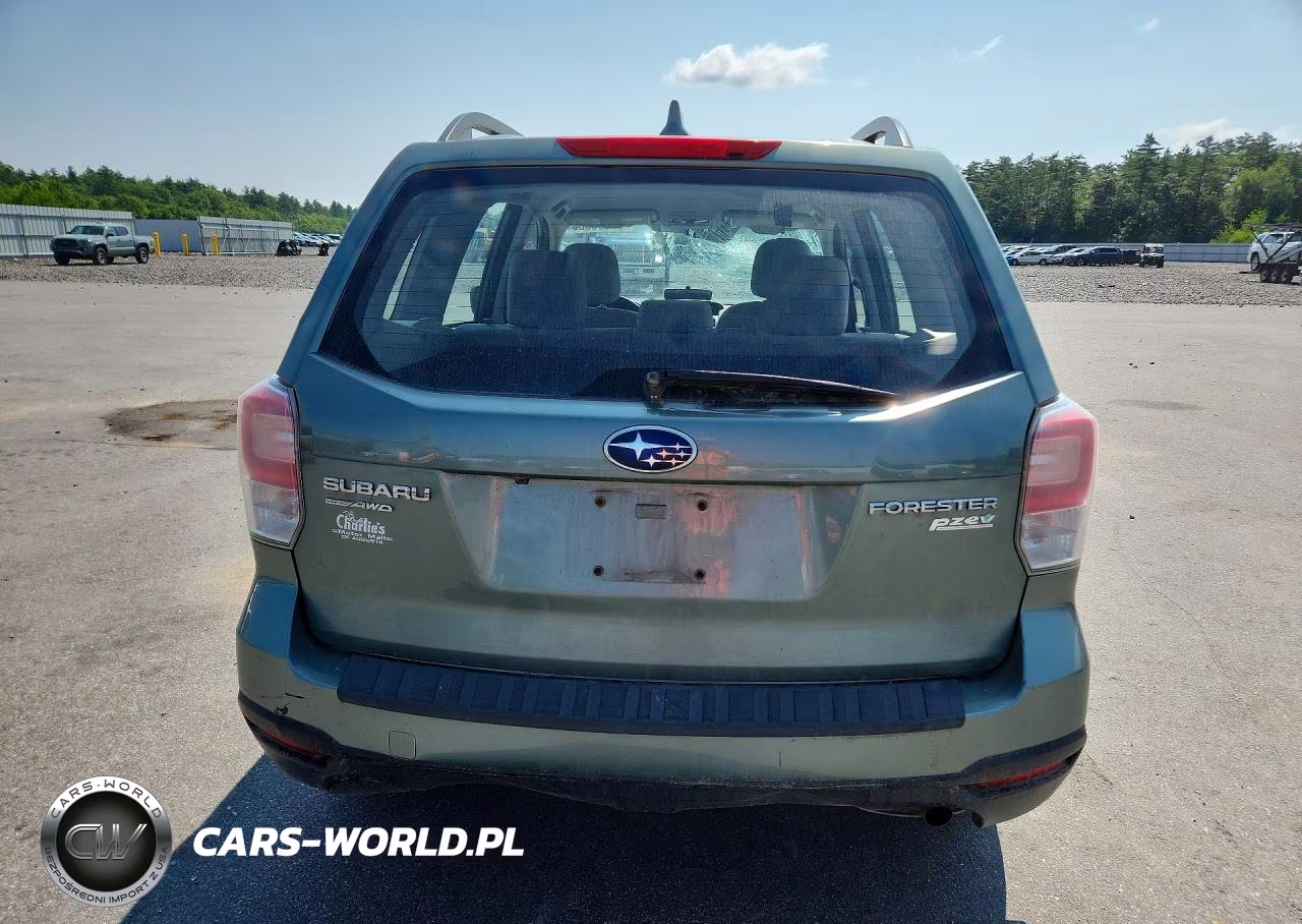 2017 Subaru Forester 2.5I VIN:JF2SJABC3HH541982 - 6