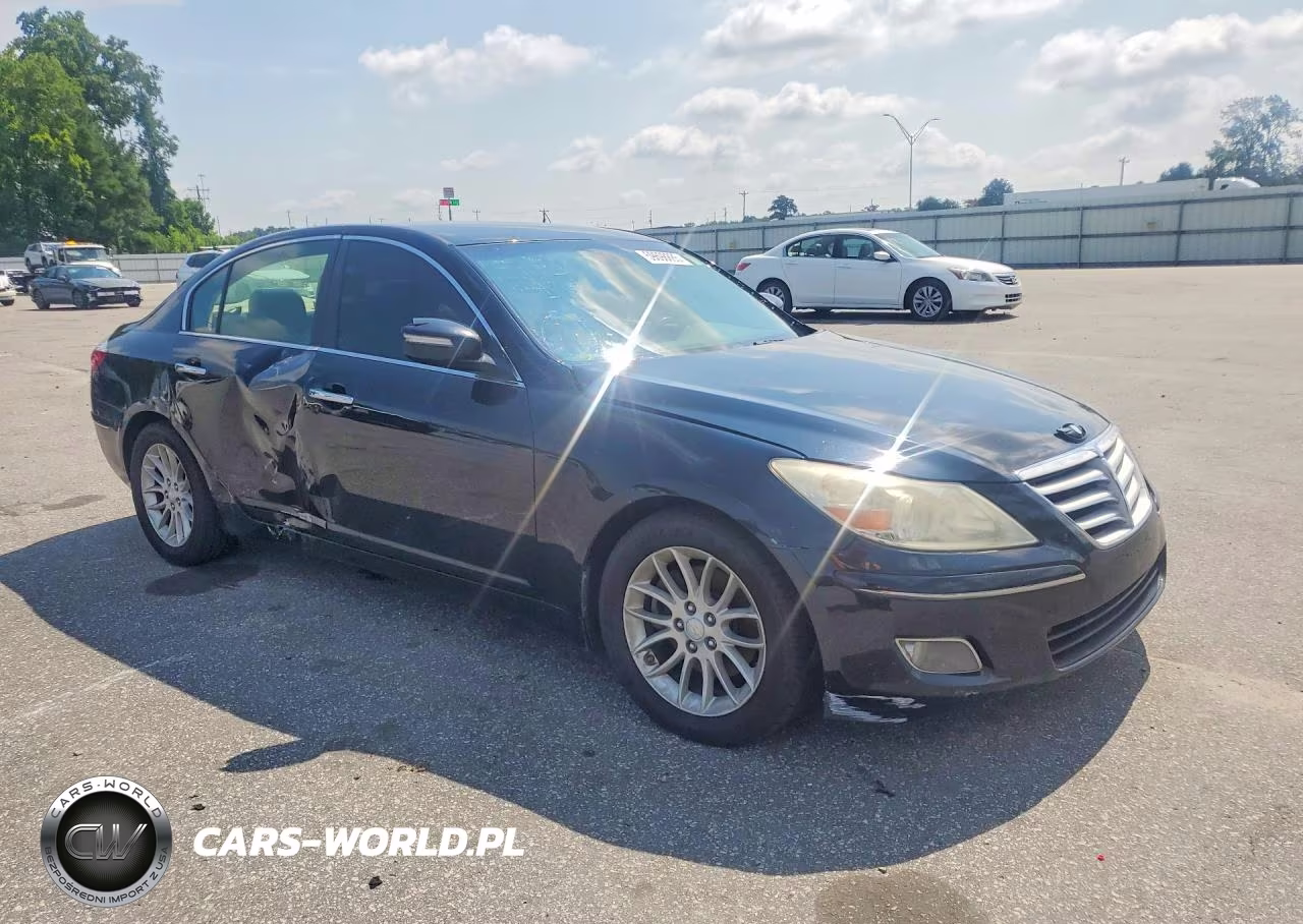 2009 Hyundai Genesis 3.8L VIN:KMHGC46E09U054268 - 4