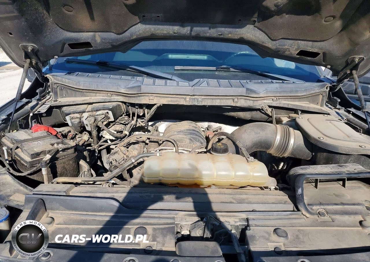 2021 Ford F150 Super Cab VIN:1FTFX1E54MKD71124 - 11