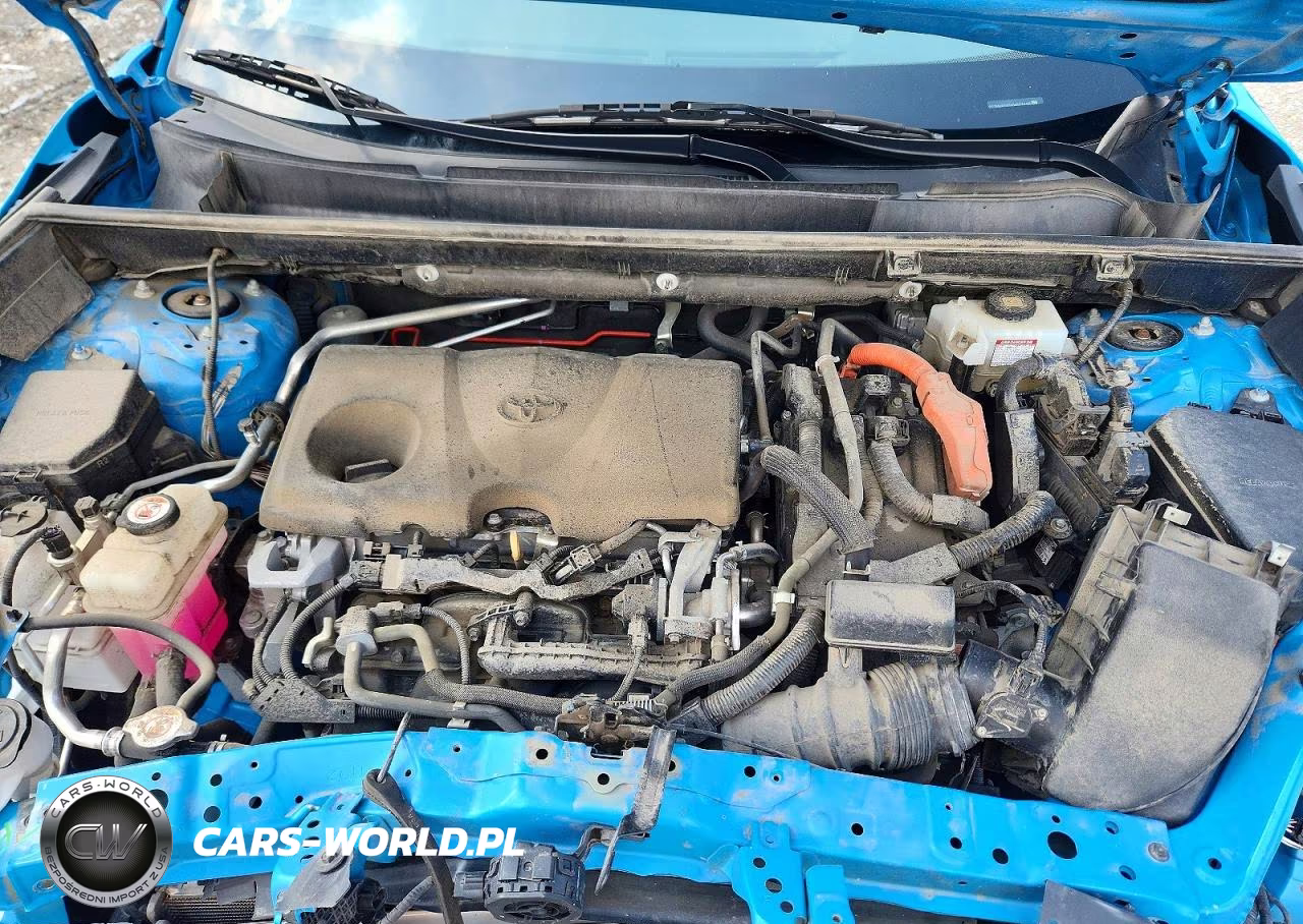 2019 Toyota Rav4 Le VIN:2T3MWRFV5KW001490 - 11