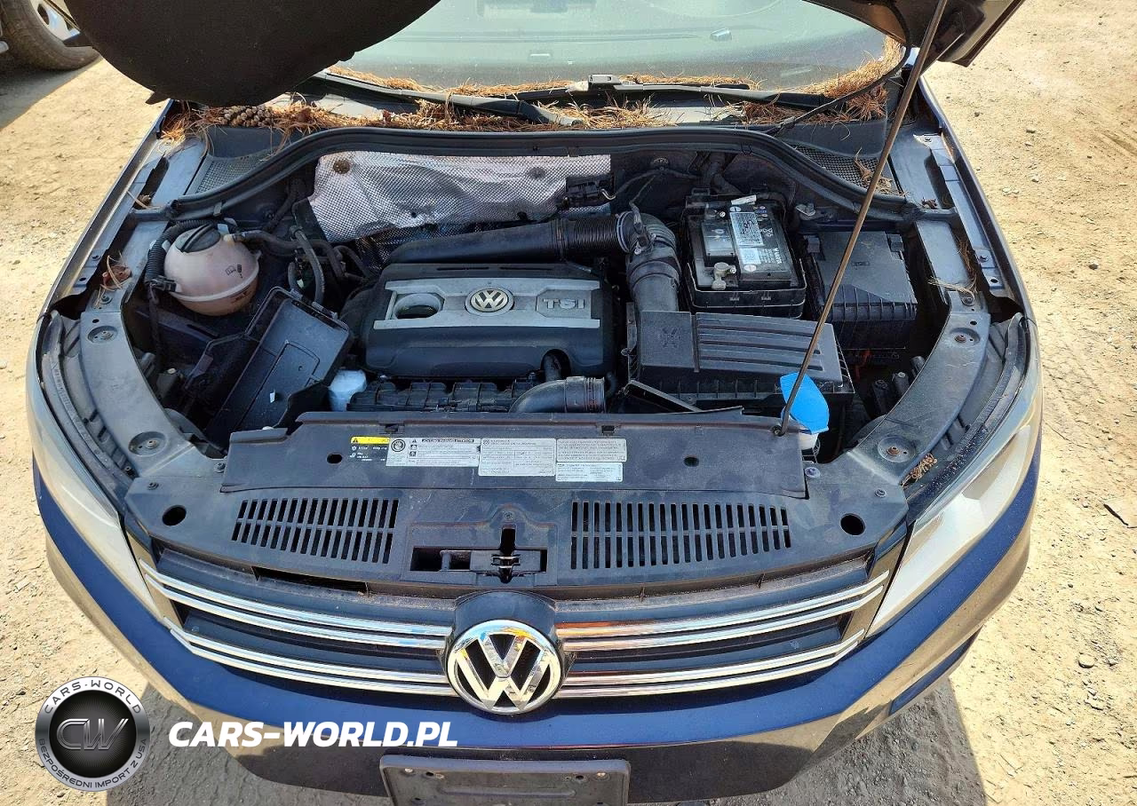 2016 Volkswagen Tiguan S VIN:WVGBV7AX8GW528645 - 12
