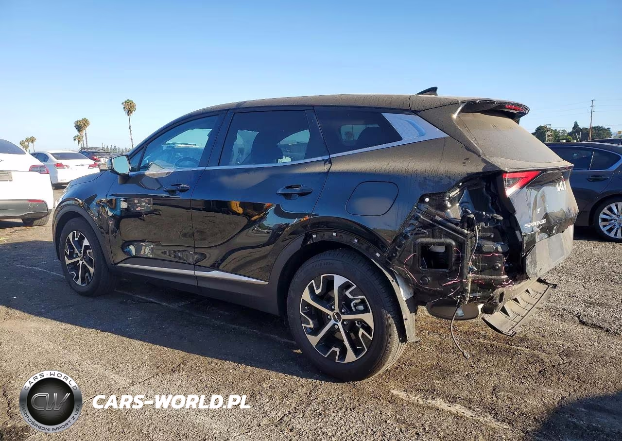 2024 Kia Sportage Ex VIN:5XYK33DF4RG162463 - 2
