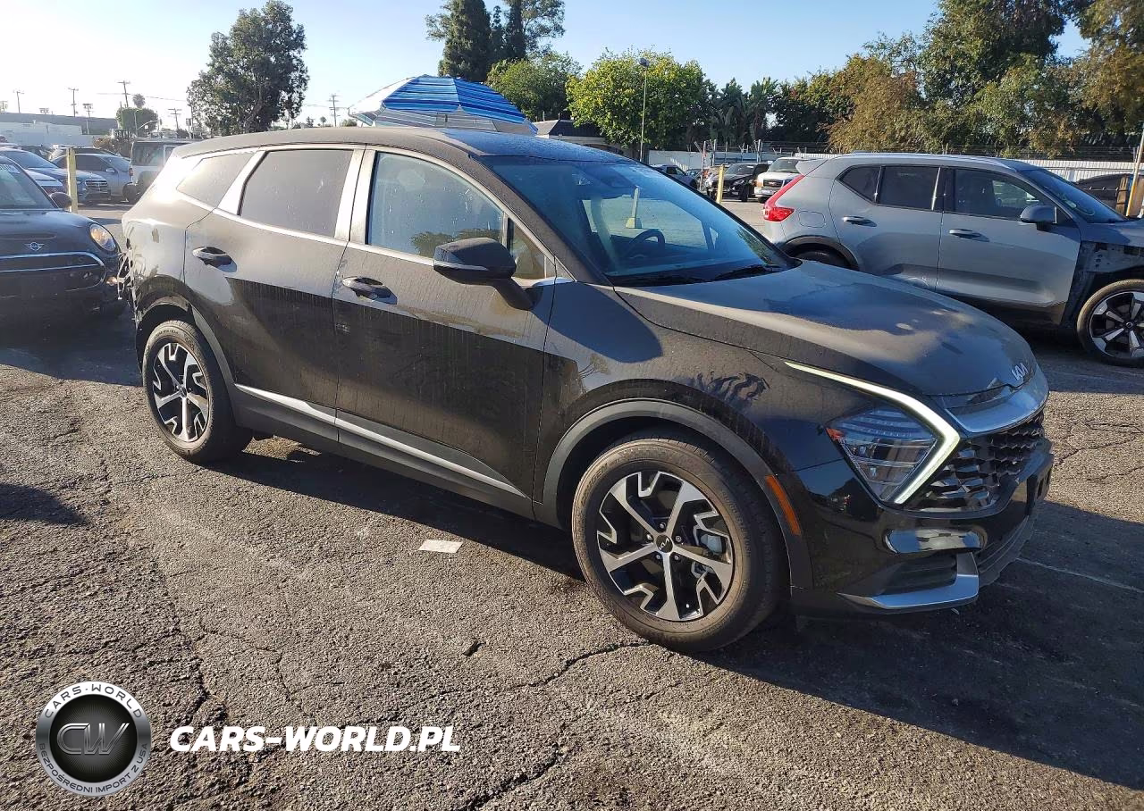 2024 Kia Sportage Ex VIN:5XYK33DF4RG162463 - 4