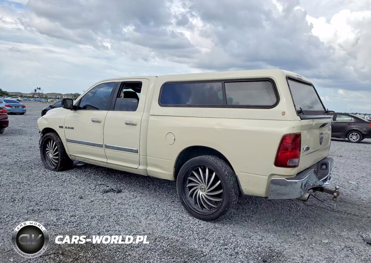 2010 Dodge Ram 1500 VIN:1D7RB1GT9AS230574 - 2
