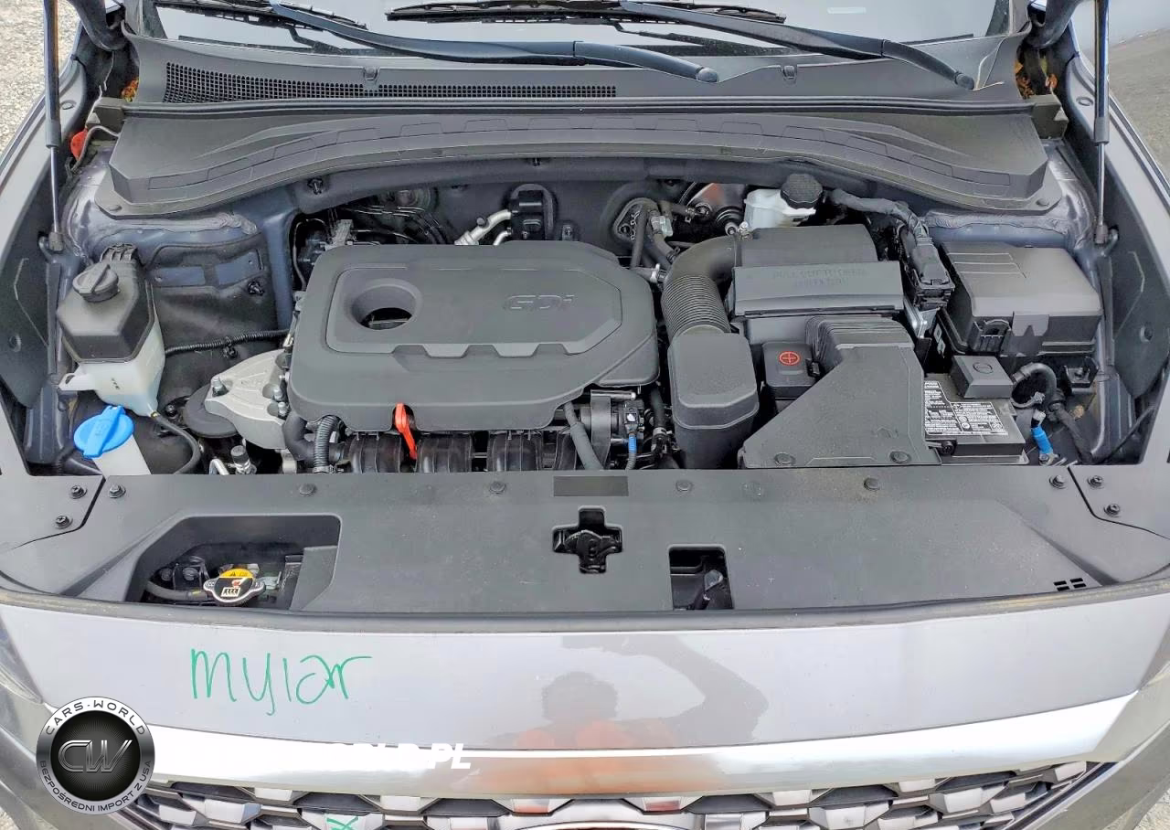 2019 Hyundai Santa Fe Se VIN:5NMS2CAD7KH065095 - 12