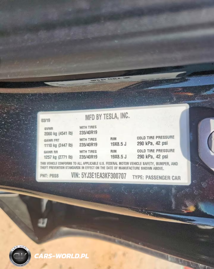 2019 Tesla Model 3 VIN:5YJ3E1EA3KF300707 - 12