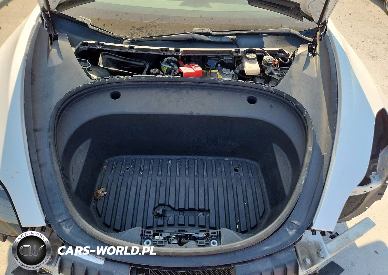 2021 Tesla Model 3 VIN:5YJ3E1EC3MF973341 - 11