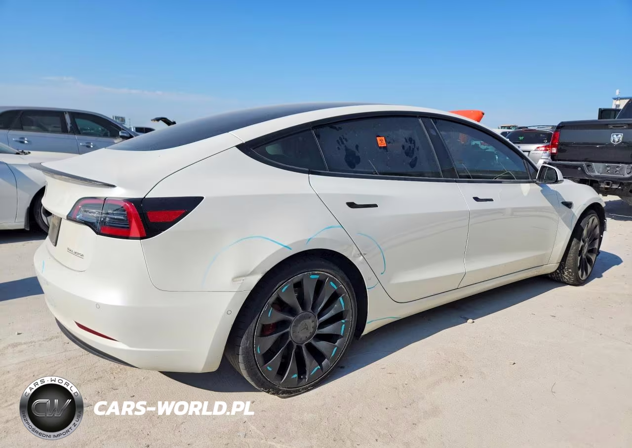 2021 Tesla Model 3 VIN:5YJ3E1EC3MF973341 - 3