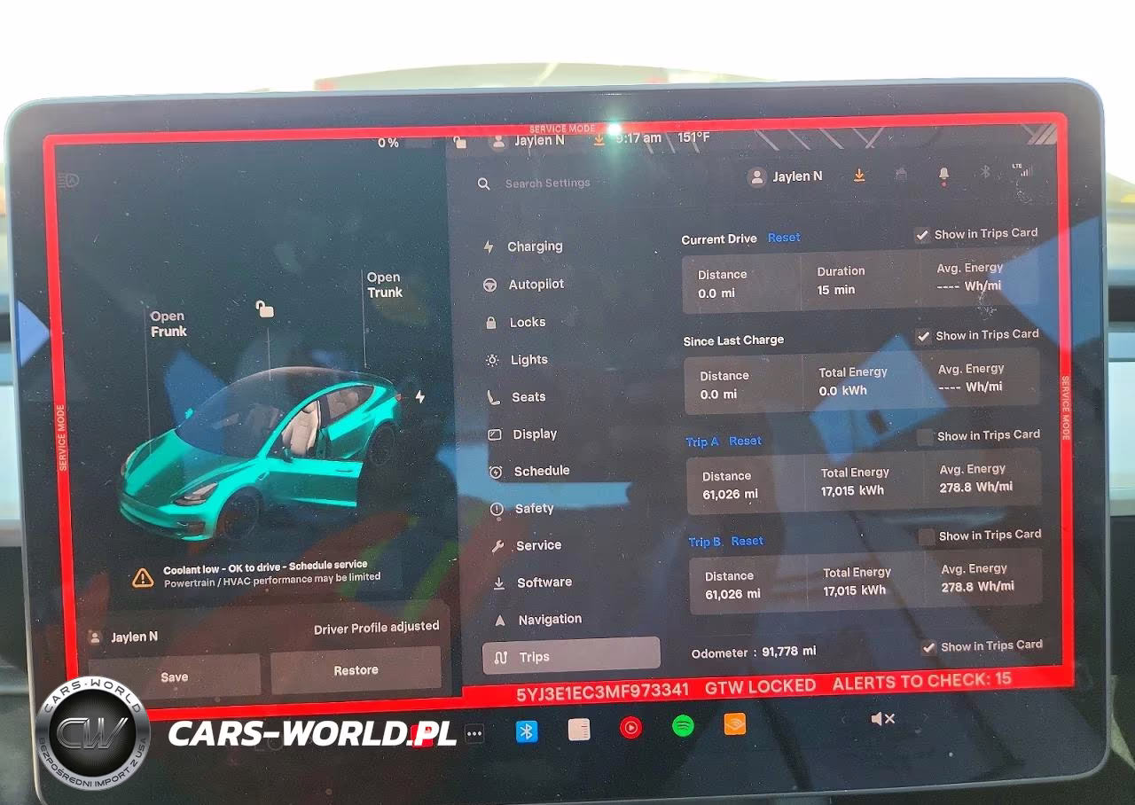 2021 Tesla Model 3 VIN:5YJ3E1EC3MF973341 - 9
