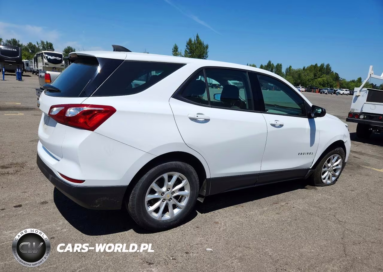 2019 Chevrolet Equinox Ls VIN:2GNAXHEV6K6180833 - 3