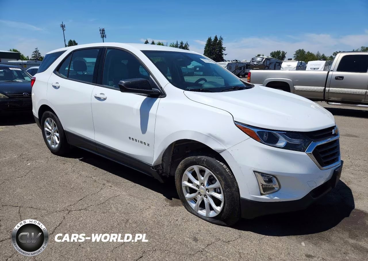 2019 Chevrolet Equinox Ls VIN:2GNAXHEV6K6180833 - 4