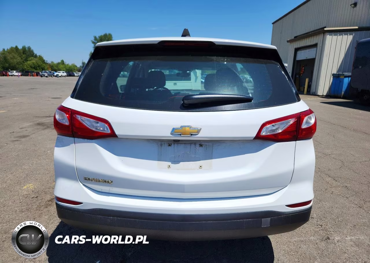 2019 Chevrolet Equinox Ls VIN:2GNAXHEV6K6180833 - 6