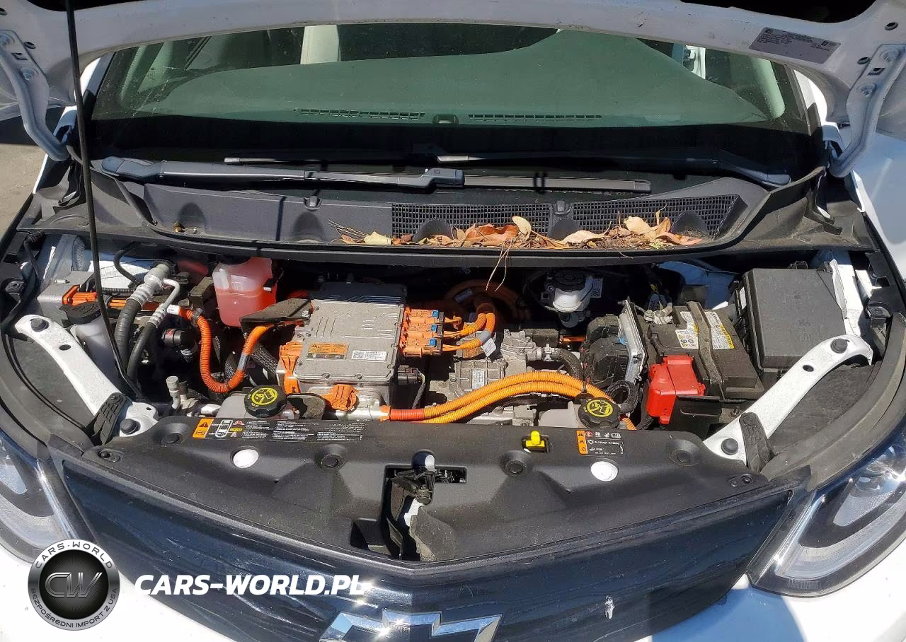 2021 Chevrolet Bolt Ev Lt VIN:1G1FY6S03M4105805 - 11