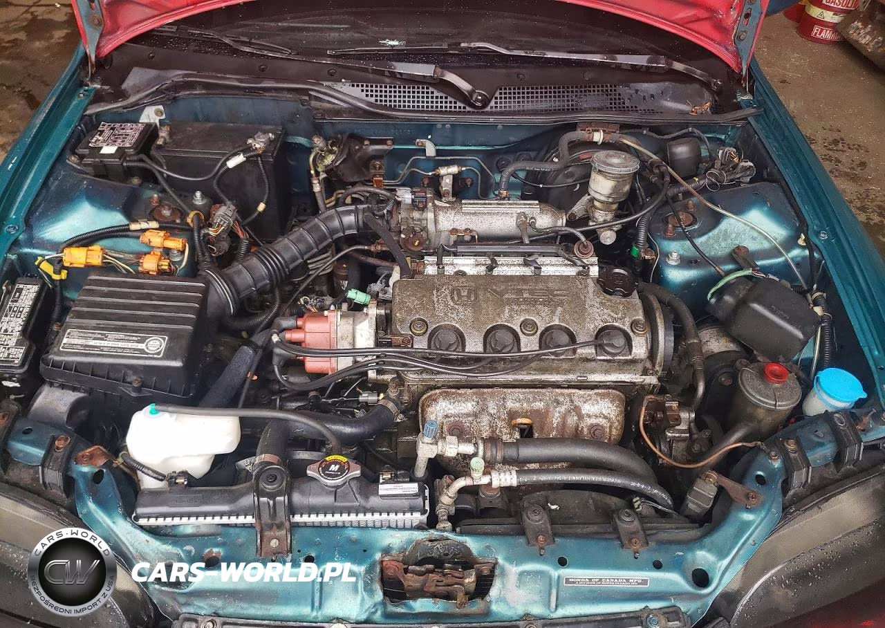 1995 Honda Civic Ex VIN:2HGEJ123XSH532730 - 11