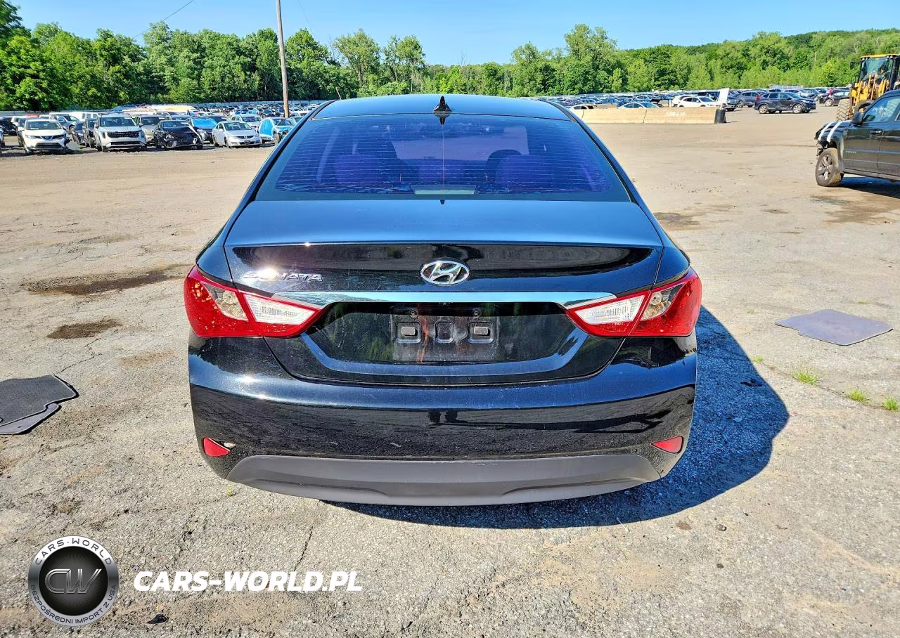 2014 Hyundai Sonata Gls VIN:5NPEB4AC4EH831124 - 6