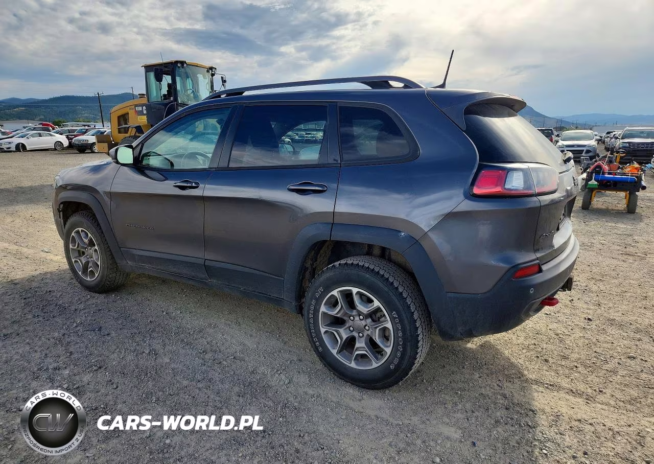 2020 Jeep Cherokee Trailhawk VIN:1C4PJMBN0LD642811 - 2