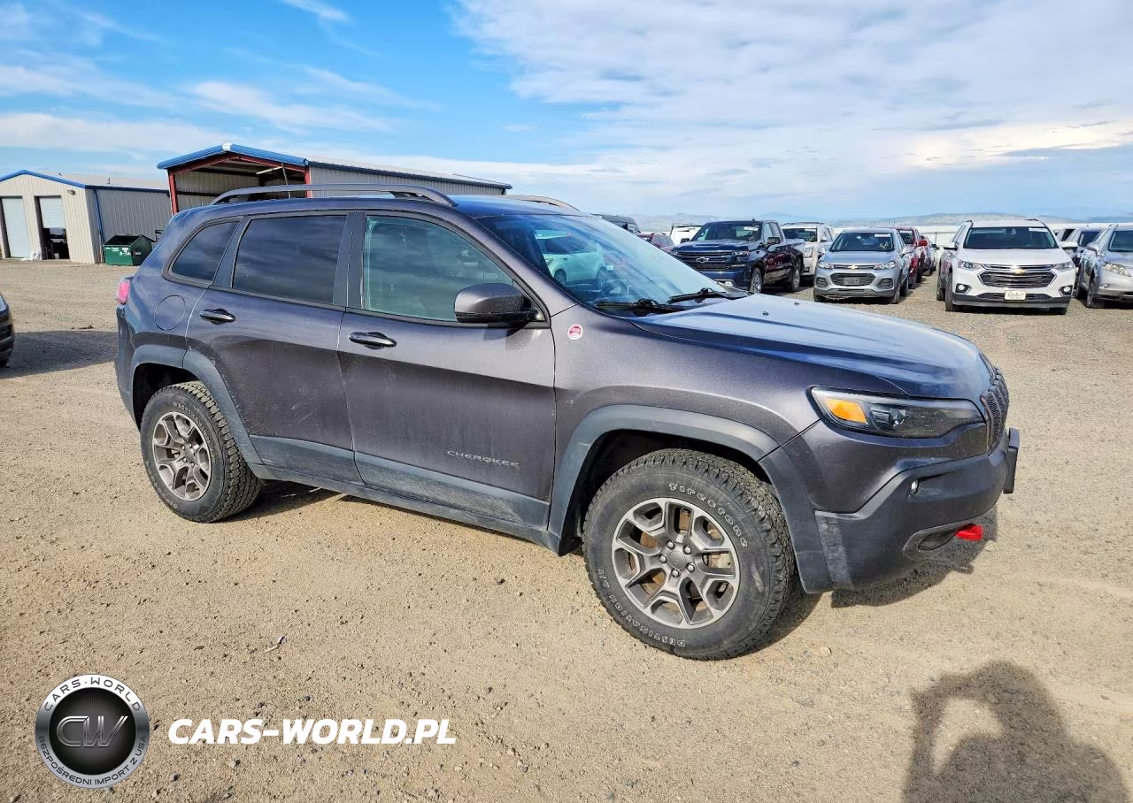 2020 Jeep Cherokee Trailhawk VIN:1C4PJMBN0LD642811 - 4