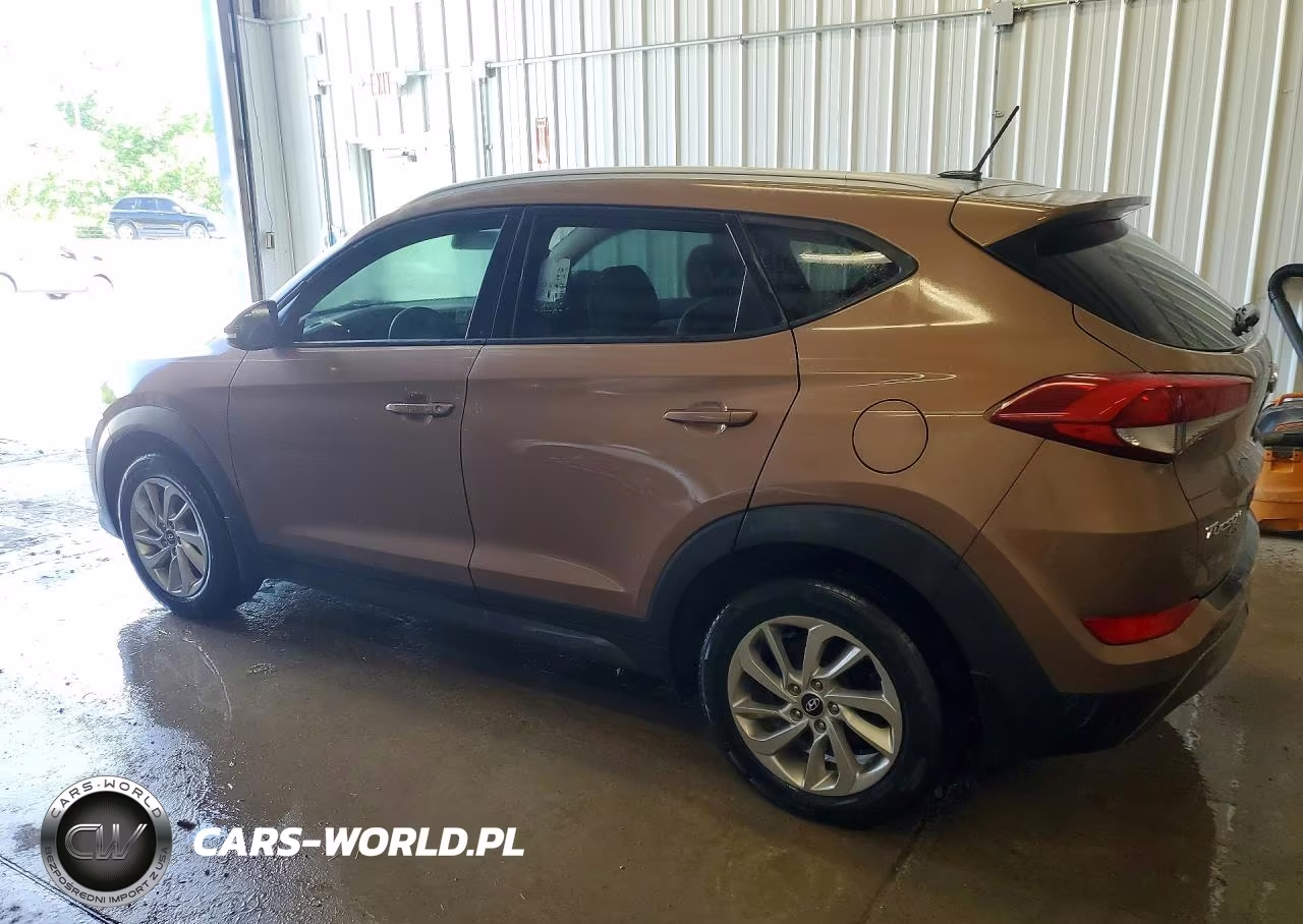 2016 Hyundai Tucson Eco VIN:KM8J33A22GU095320 - 2