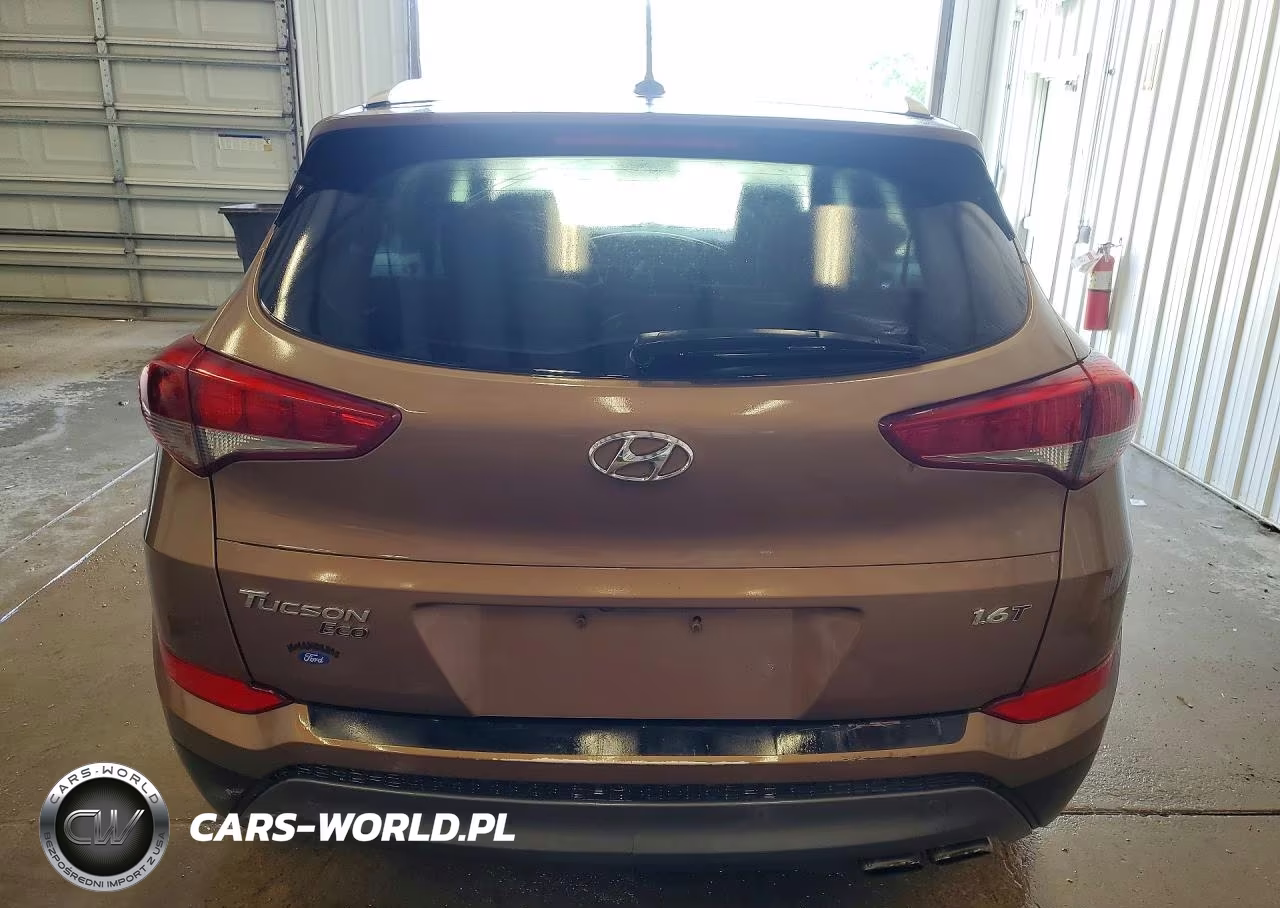 2016 Hyundai Tucson Eco VIN:KM8J33A22GU095320 - 6