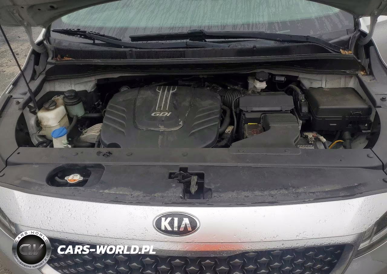 2017 Kia Sedona Lx VIN:KNDMB5C12H6312939 - 12