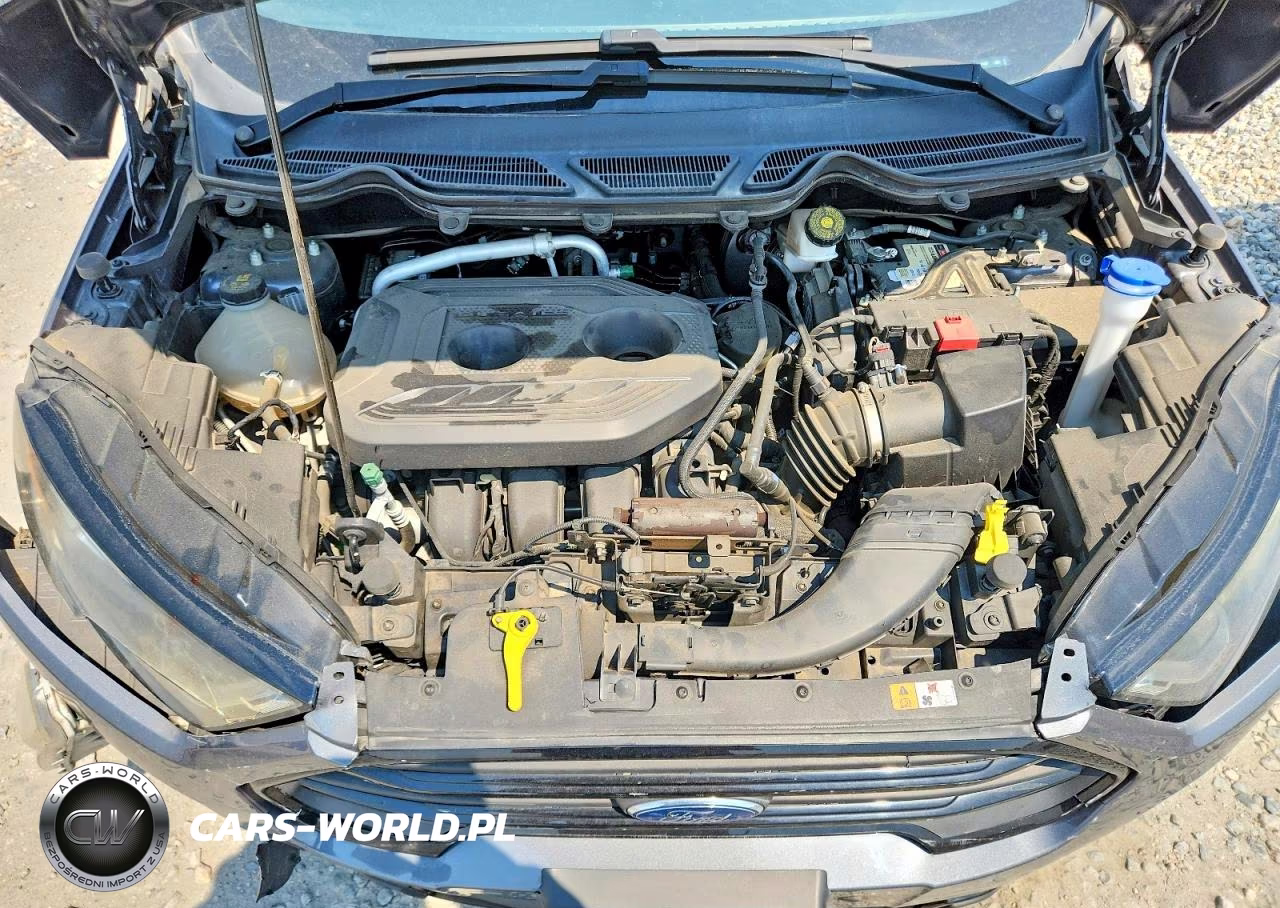 2020 Ford Ecosport Ses VIN:MAJ6S3JL8LC384102 - 12