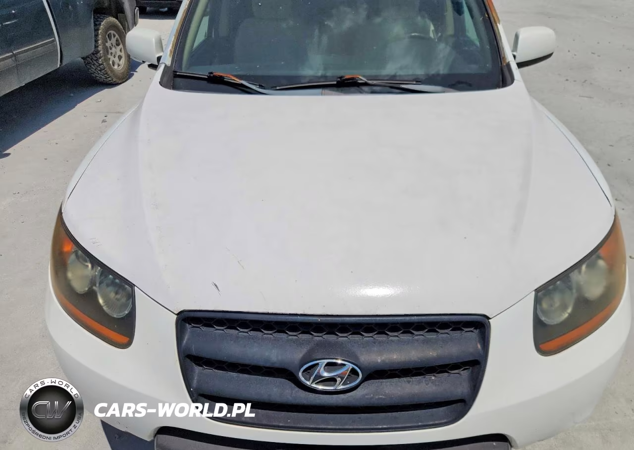 2008 Hyundai Santa Fe Gls VIN:5NMSG13D28H211575 - 12
