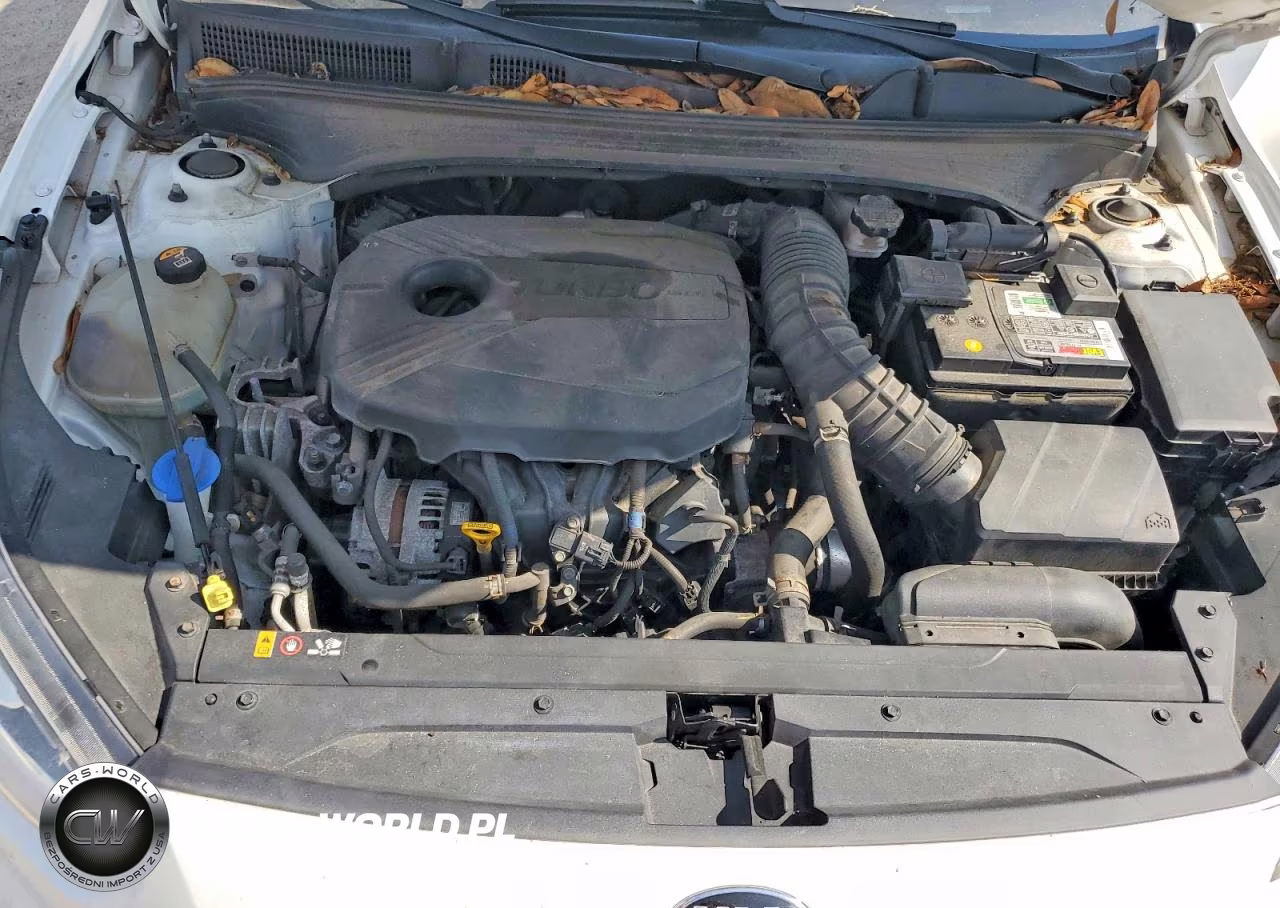 2020 Kia Forte Gt VIN:3KPF44AC1LE262118 - 11