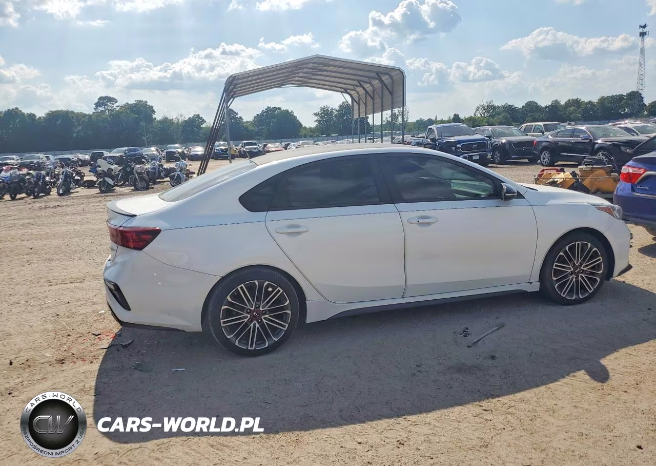 2020 Kia Forte Gt VIN:3KPF44AC1LE262118 - 3