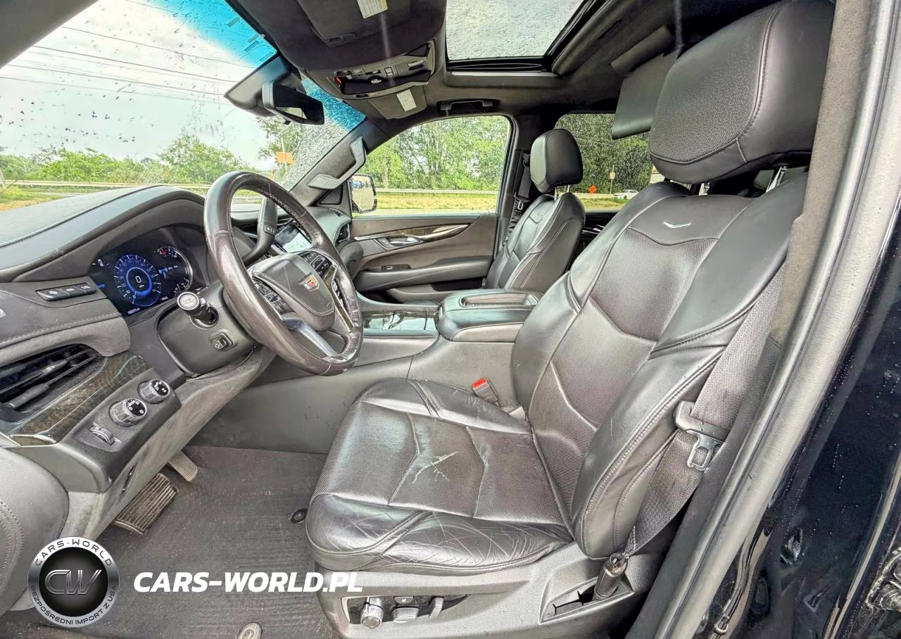 2020 Cadillac Escalade Esv Platinum VIN:1GYS4KKJ2LR110640 - 13