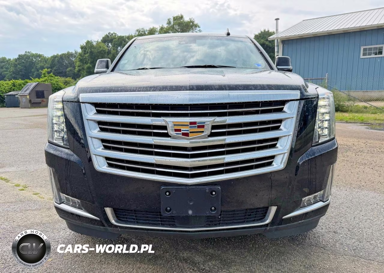 2020 Cadillac Escalade Esv Platinum VIN:1GYS4KKJ2LR110640 - 14