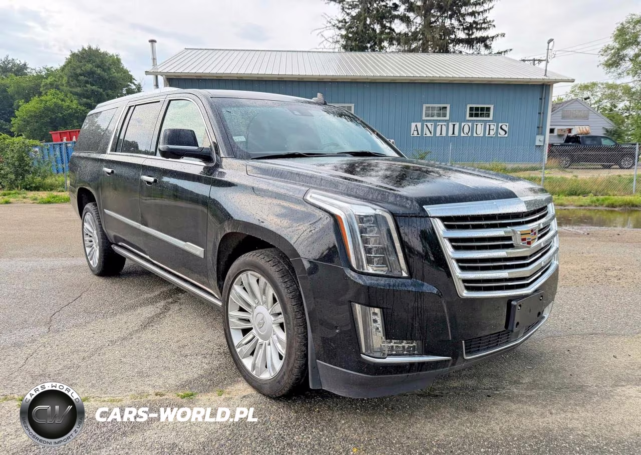 2020 Cadillac Escalade Esv Platinum VIN:1GYS4KKJ2LR110640 - 2